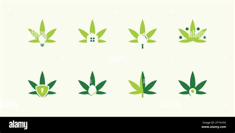 collection  marijuana leaf logo designs template
