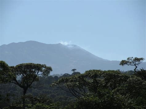Talamancan Montane Forests One Earth