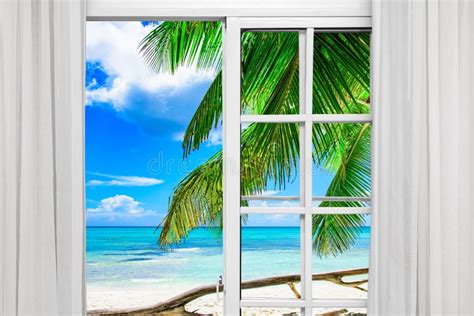 Window open palm beach stock photo. Image of blue, light - 101406726