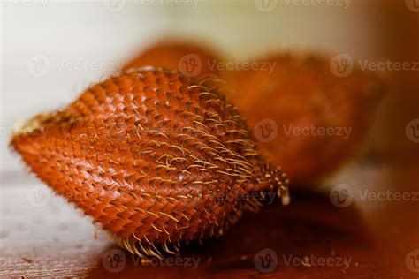 Closeup Of Salak Or Snake Fruit Stock Photo At Vecteezy