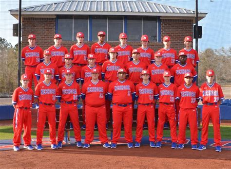 Rockets Enter State Baseball Playoffs
