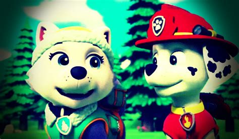 Marshall And Everest Paw Patrol Fan Art 40215702 Fanpop