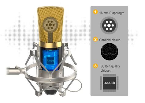 Berlin 1800 Pack Gold Audibax