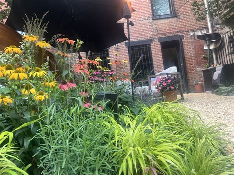 ST. JOHNS PLACE | BROOKLYN — Green Bey Gardens