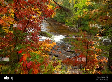 Sturgeon River Along Sturgeon Falls Trail Sturgeon River Gorge