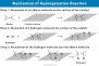 Hydrogenation: Definition, Examples, and Applications