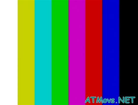 Aroused Brunette Diva Deepthroats And Rides