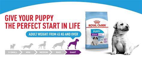 Royal Canin Giant Puppy | Buy Now at zooplus
