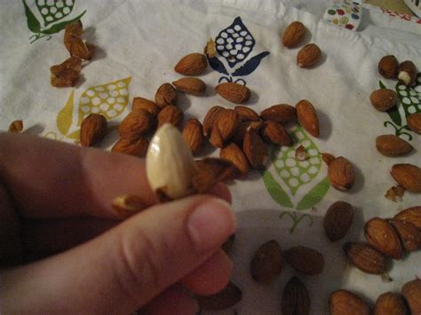 Blanching Almonds | olive oil and sea salt