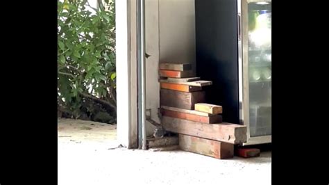 Naked Cleaning Videos Xvideos