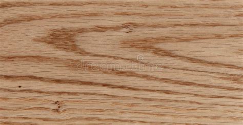 Solid Oak Wood Texture