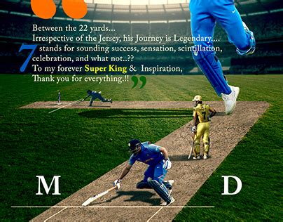 csk msd projects   logos illustrations  branding