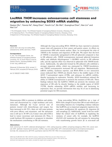 Pdf Lncrna Thor Increases Osteosarcoma Cell Stemness And Migration By