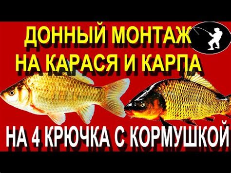Мощнее чем Убийца Карася и Карпа 2 в 1 Донный Монтаж с Кормушкой на 4 ...