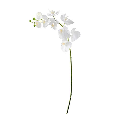 Primrue 30 Faux Plant Wayfair