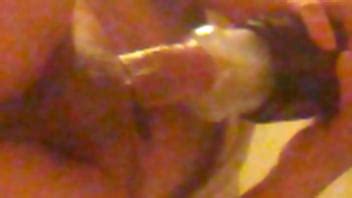 Manos Libres XVIDEOS