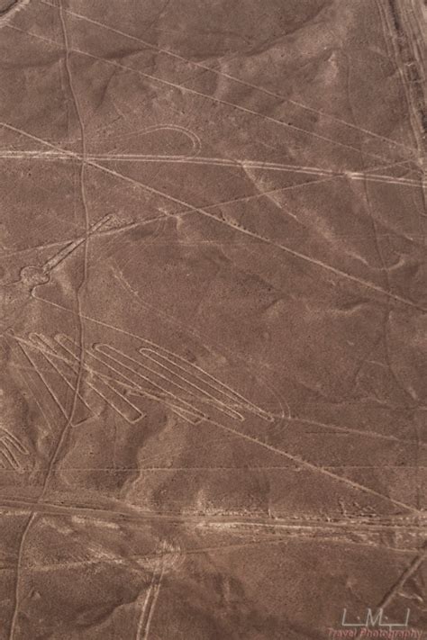 From Nazca Minute Flight Over Nazca Lines Getyourguide