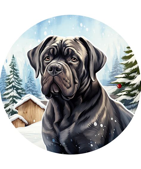 Cane Corso Dog 35307791 Png