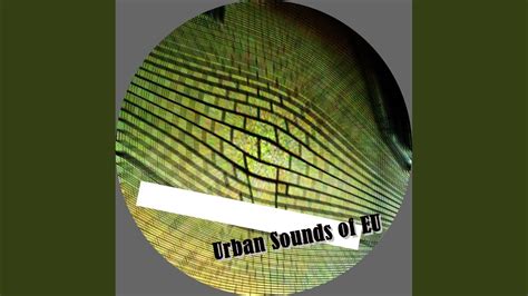 School Acid Original Mix Youtube
