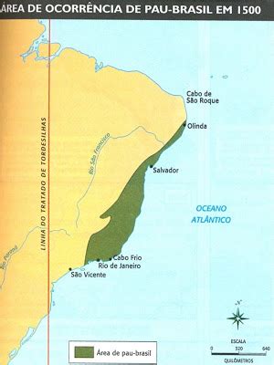 O Pau Brasil Era Transportado Em - O corte das árvores e o seu transporte para os navios eram feitos pelos ...