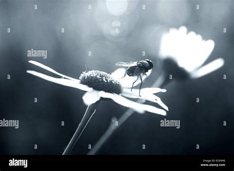 Nice view hi-res stock photography and images - Alamy