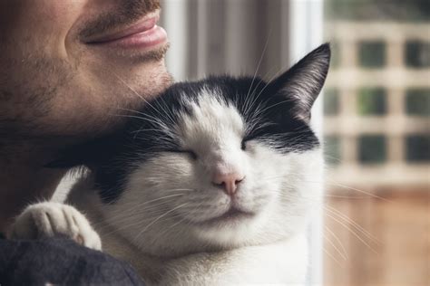 Man's Relationship With Cat He 'Didn't Want' Melts Hearts - Newsweek