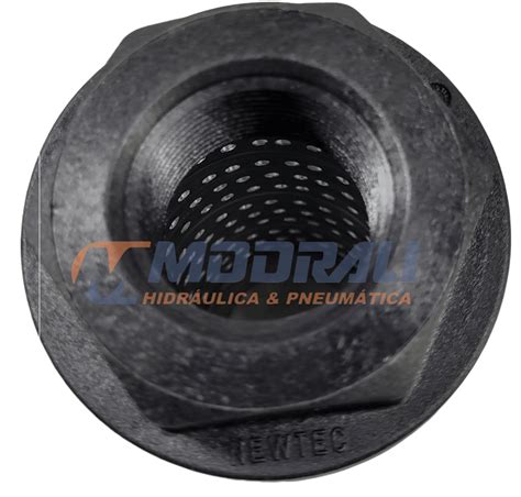 Filtro HidrÁulico De SucÇÃo Newtec Hs100fn Modraliloja