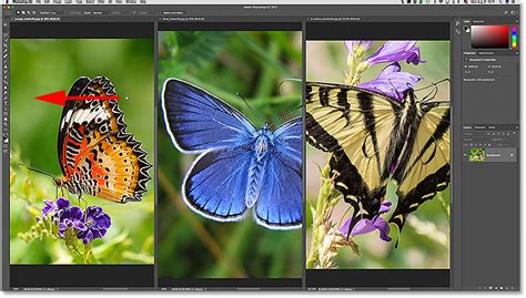 How To View Multiple Images At Once In Photoshop