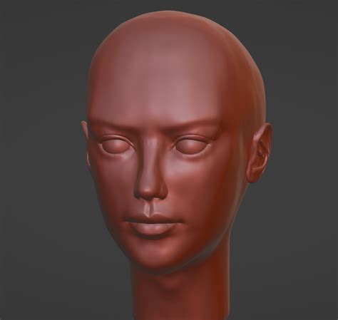 head model  zeydelzoe  deviantart
