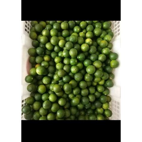 Jual Jeruk Kasturi Lemon Coi Jeruk Sonkit 1kg Indonesia Shopee Indonesia