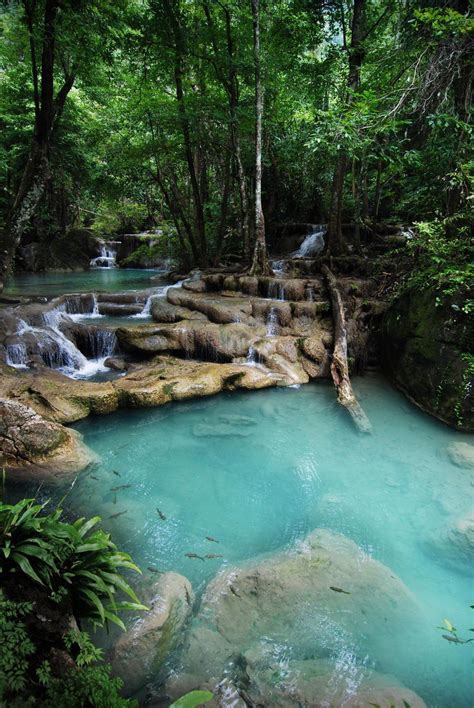√ Nature Parks Near Me With Water