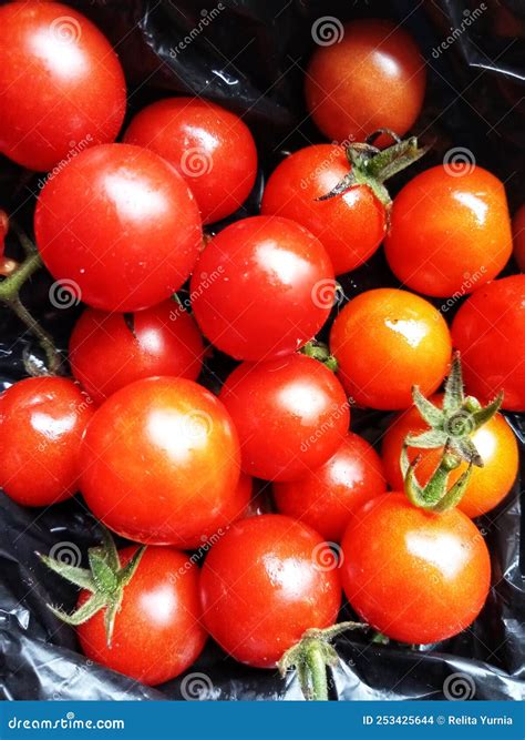 A Bunch of Red Cherry Tomatoes in a Black Plastic Bag Stock Photo