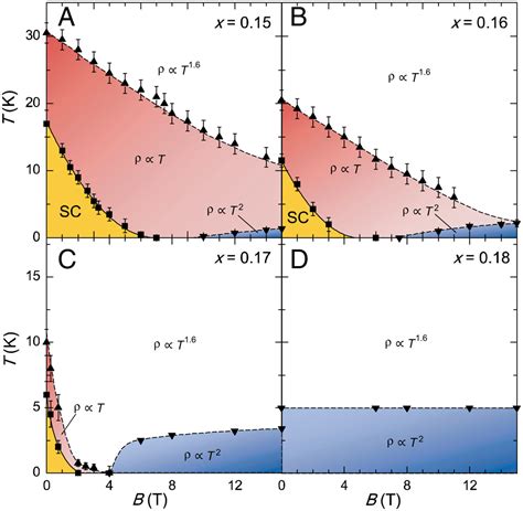 Copper Fields Quantum Criticality In High Temperature Cuprate