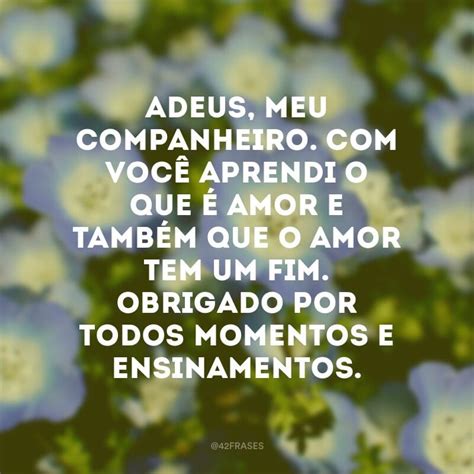 Adeus E Obrigado Nunca Imaginei - 40 frases de adeus para lidar com esse momento triste, mas necessário