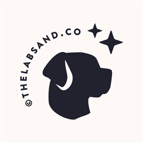 Run Spot Run Seattle | Seattle WA