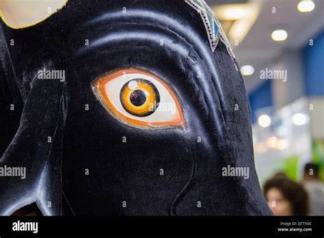 Ox head hi-res stock photography and images - Alamy