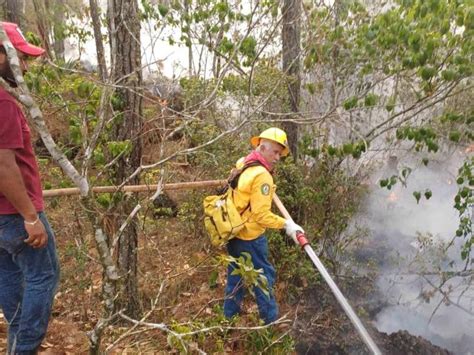 Confirma Protecci N Civil Incendios Forestales Activos En Veracruz