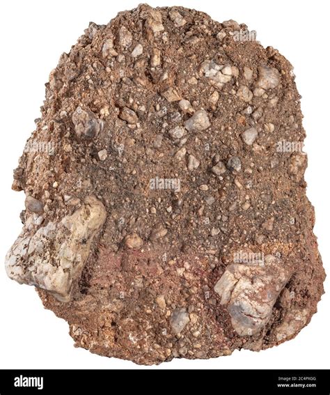 Caliche Conglomerate Rock Caliche Is A Sedimentary Rock A Hardened