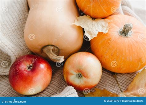 Autumn Seasonal Harvest Fruits And Vegetables Pumpkin Red Apples And