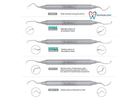 Gracey Curettes Standard Curette DENTALKU