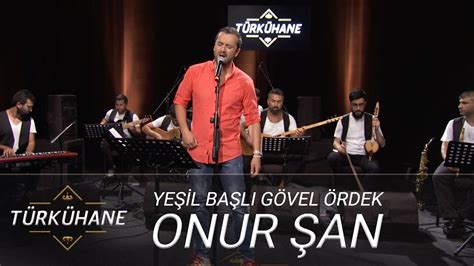 Onur Şan Yeşil Başlı Gövel Ördek I Türkühane YouTube