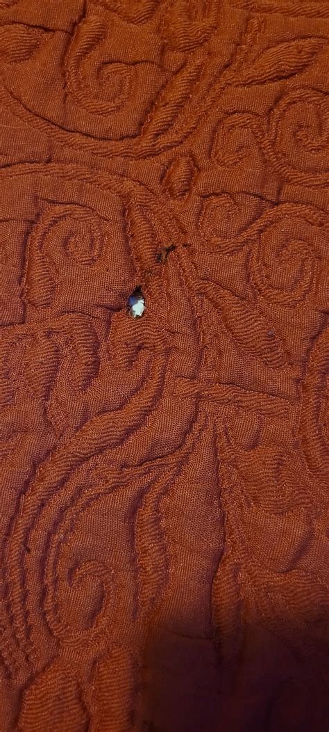 HOTEL BERTHA $90 ($̶1̶3̶0̶) - Prices & Reviews - Paris, France