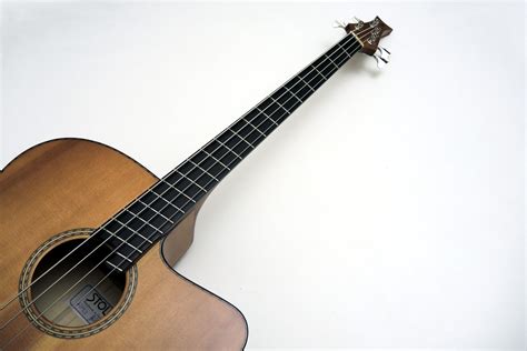 IQ Acoustic Bass 4-Strings - Stoll Guitars