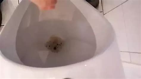 Takinu Gay Porn Creator Videos Free Amateur Nudes Xhamster