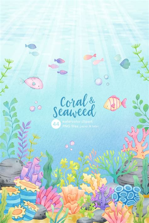 Coral And Seaweed Watercolor Clipart Underwater Scene Ocean Etsy In