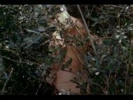 Denise Daniels Nude Pics Page