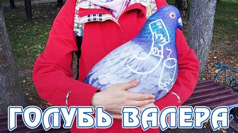 Голубь Валера в Смоленске - YouTube