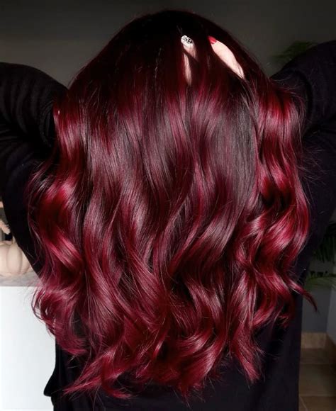 posh dark red hair colors    season hair adviser dyed