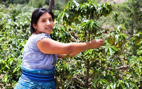 mujeres rurales rescatar su papel clave en la agricultura  eliminar