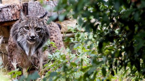 Nude Project Comes To Portugal The Portugal News